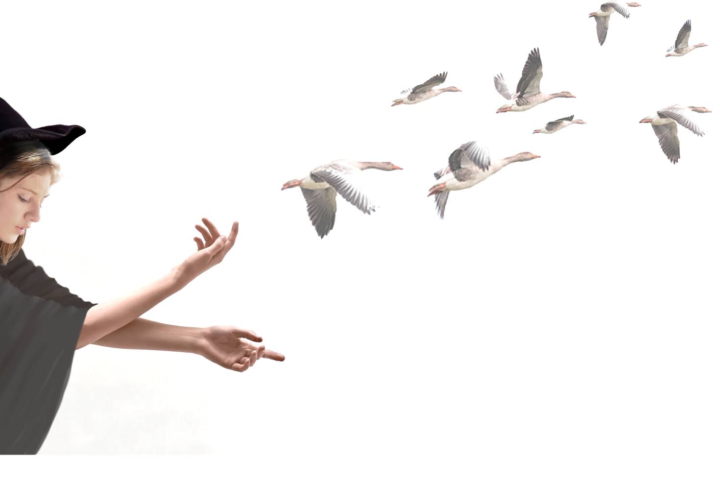 image: メモリよ飛び放て！