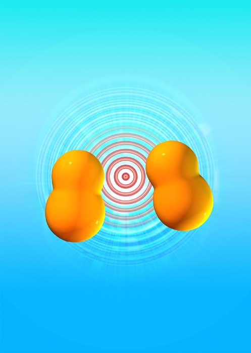 3dcg-medical-kidney-mag_4